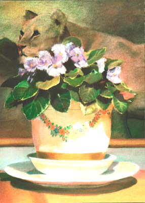 African Violet with Lioness