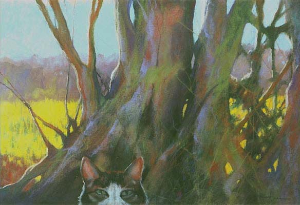 Cat in Wooded Scene