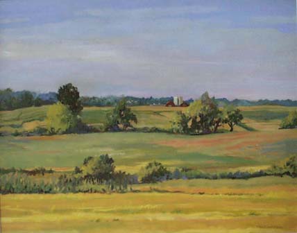 Landscape with fields