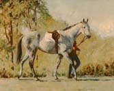 Grey horse walking